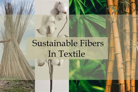 Hemp Fiber: A Sustainable Powerhouse for High-Performance Textiles and Eco-Conscious Manufacturing!