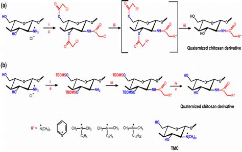  Quaternized Chitosan: 혁신적인 바이오 소재로서의 의료 장치 응용 가능성!